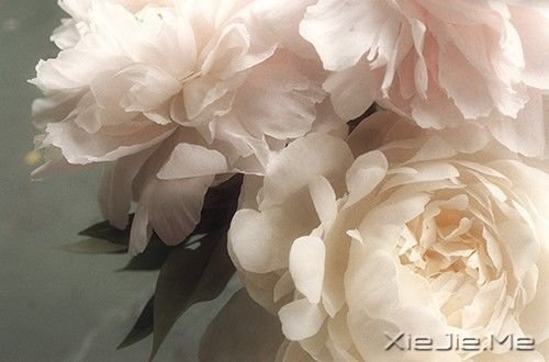 ZҲЌ (5)