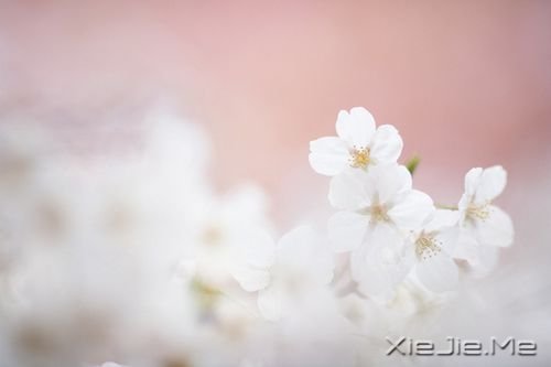 ZҲЌ (9)
