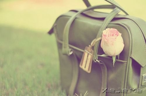 簲ZղסɳP(yng) (5)