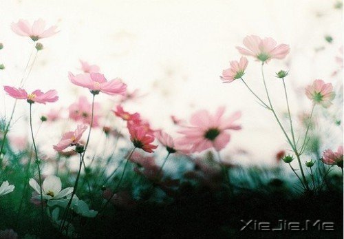 簲Zһl·ͨʼt_ (9)