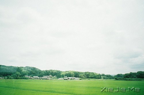 簲ZeԼL(fng) (3)