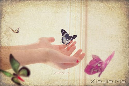 簲ZeԼL(fng) (5)