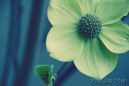 簲Z(y)(du)δ(li)ǰһЫI(xin)oF(xin) (2)