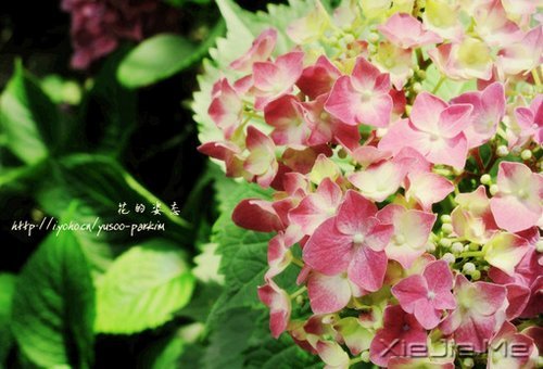 簲Z(y)(du)δ(li)ǰһЫI(xin)oF(xin) (5)