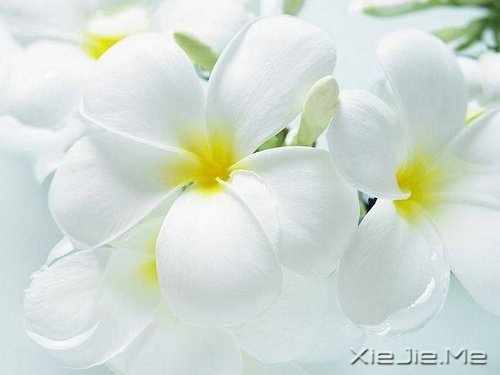 簲Z(y)(du)δ(li)ǰһЫI(xin)oF(xin) (6)