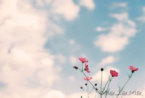 Zr]мǾ^ (3)