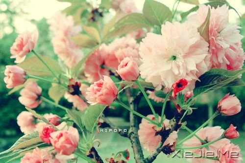 Zr]мǾ^ (10)