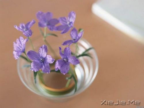 簲ZзN (1)