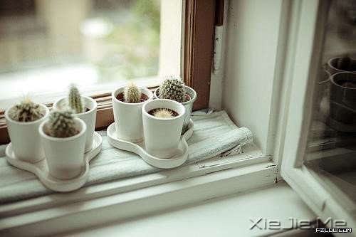 簲Z(y)·^(gu)Ŀ옷(l)ֻԼ֪ (6)