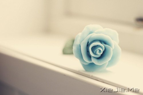 簲ZһK@Gg (5)