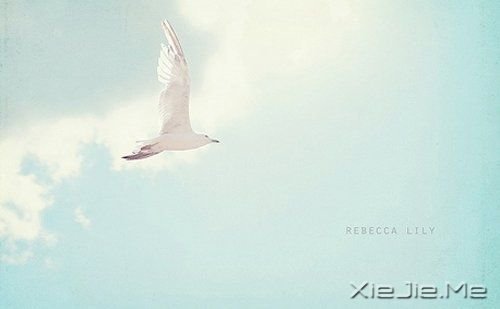 簲Zе·Ҫȥ (6)