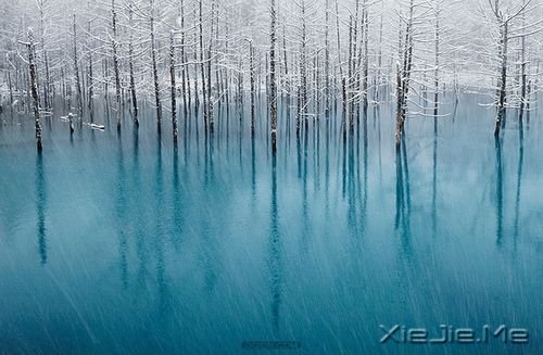 簲Zе·Ҫȥ (9)