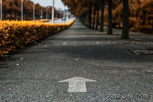 簲Zе·Ҫȥ (10)