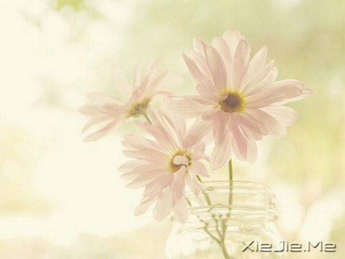 ZЩֻԼ (3)