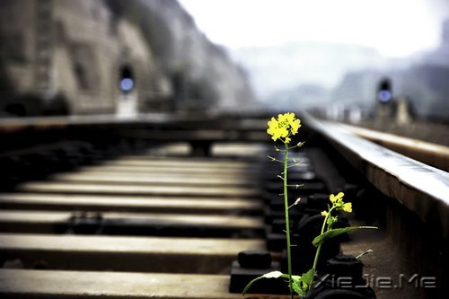 簲Zһ£f (8)