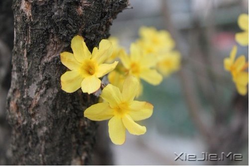 簲Zһf (10)