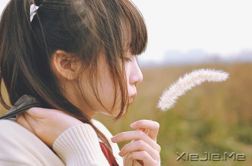 ZδŗF(xin)hȉ (10)