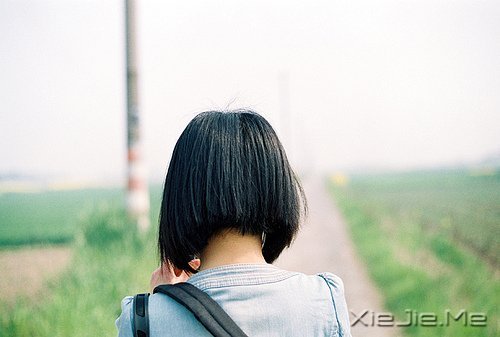 簲Z(y)Ҳ@ôں(hu)(jin)εö (1)