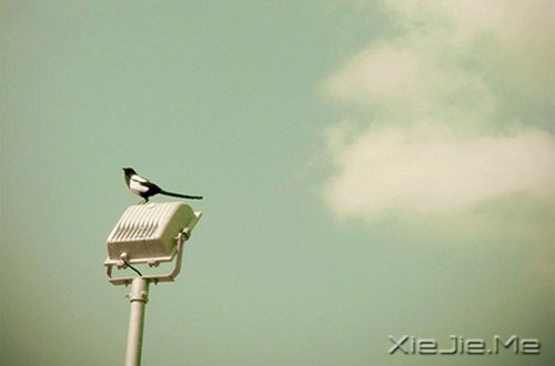 簲Z(y)Ҳ@ôں(hu)(jin)εö (2)