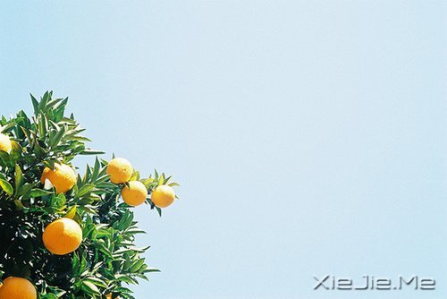 簲Z(y)Ҳ@ôں(hu)(jin)εö (10)