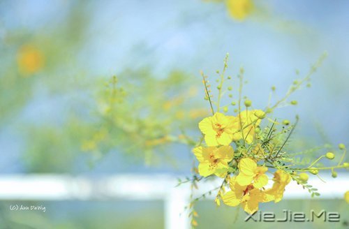 ZϲgՄՓ˽ (4)