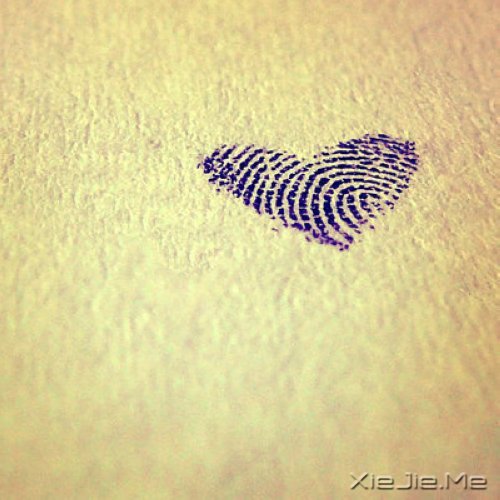 ZϲgՄՓ˽ (9)