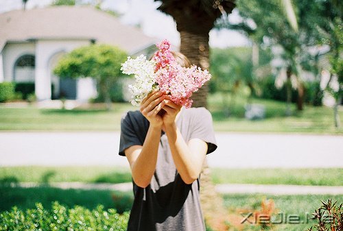 簲Z(jin)(qing)ꖹ (1)