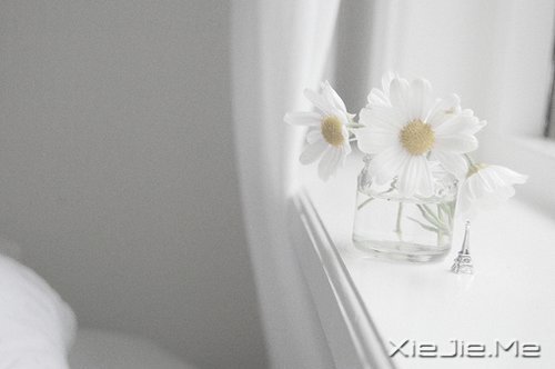 簲Z(y)(du)δ(li)ǰһЫI(xin)oF(xin) (8)