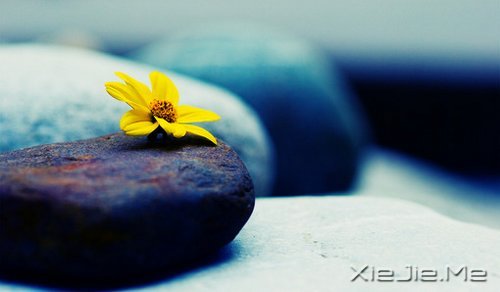 簲ZʏҲһ(g)ͽ (6)