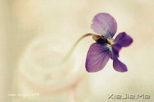 簲ZʏҲһ(g)ͽ (8)