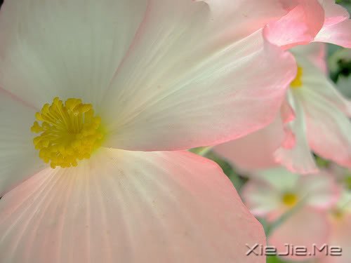 簲ZʏҲһ(g)ͽ (9)