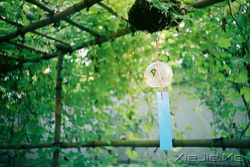 簲ZɞԼɞ@āt (7)