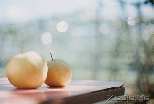簲ZɞԼɞ@āt (10)