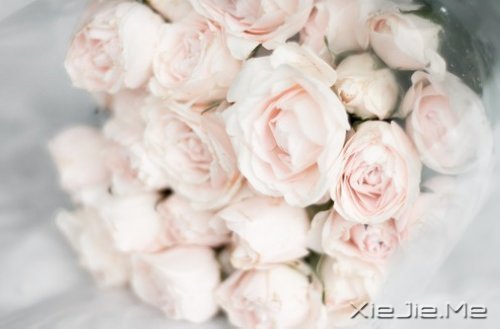 Z¸΢Ц挦(du) (6)