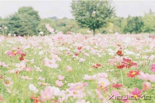 Z¸΢Ц挦(du) (7)