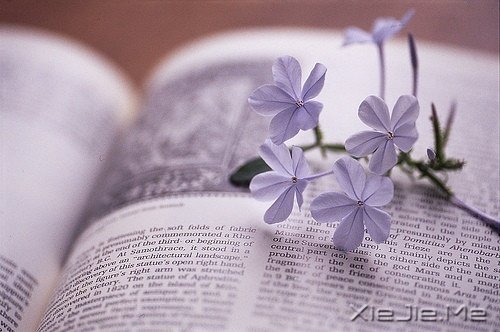 Z¸΢Ц挦(du) (8)