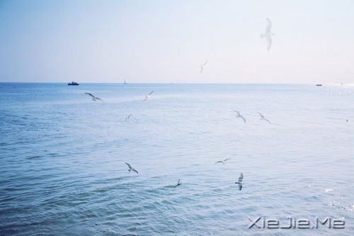 Zһ(g)˕r(sh)ƴԼɂ(g)˕r(sh)ƴ(du) (7)