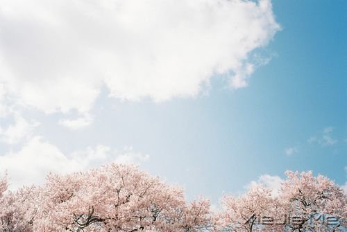 簲Zֻн(jng)ƽo@o挍 (6)