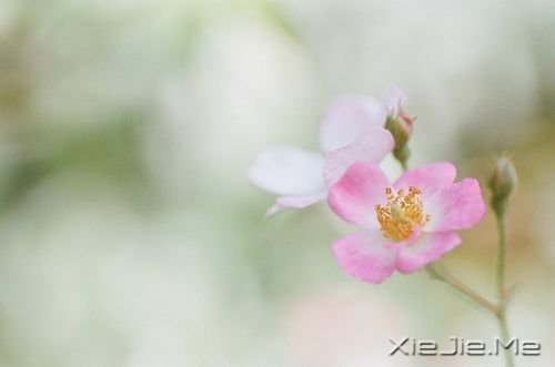 簲Zֻн(jng)ƽo@o挍 (8)