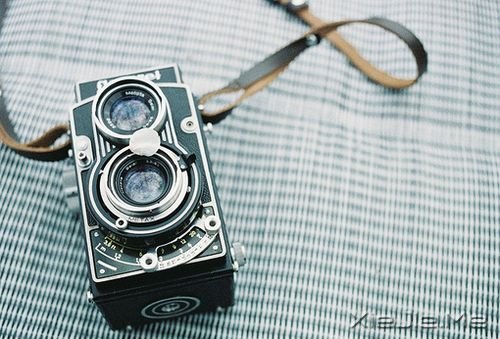 Zߵ·L (4)