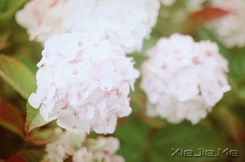 ZoԭݵĈ(f) (3)