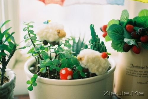 ZoԭݵĈ(f) (8)
