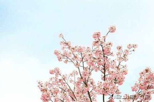 簲ZL(fng)Ҳꖹ (3)