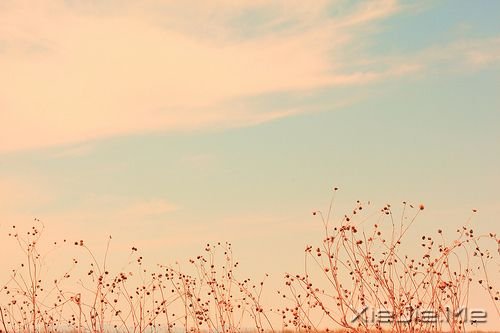 簲ZL(fng)Ҳꖹ (7)