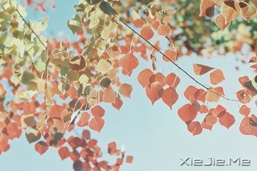簲ZԼxҪ (1)