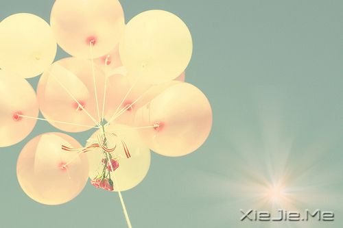 簲ZԼxˣҪ (2)