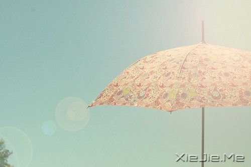 簲ZԼxˣҪ (3)
