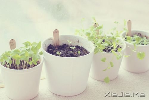 簲ZԼxˣҪ (10)