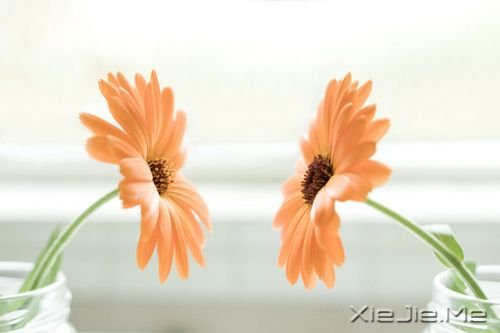 簲Zڄe˵ʧԼ· (1)