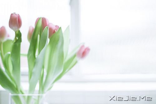 簲Zڄe˵ʧԼ· (4)